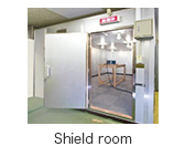 [Product image]: Shield room